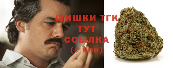 дживик Вязьма